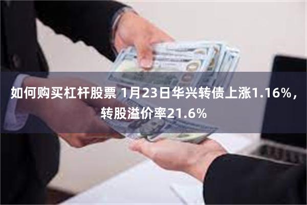 如何购买杠杆股票 1月23日华兴转债上涨1.16%,转股溢价率21.6%