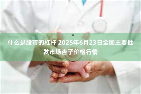 什么是股市的杠杆 2025年6月23日全国主要批发市场杏子价格行情