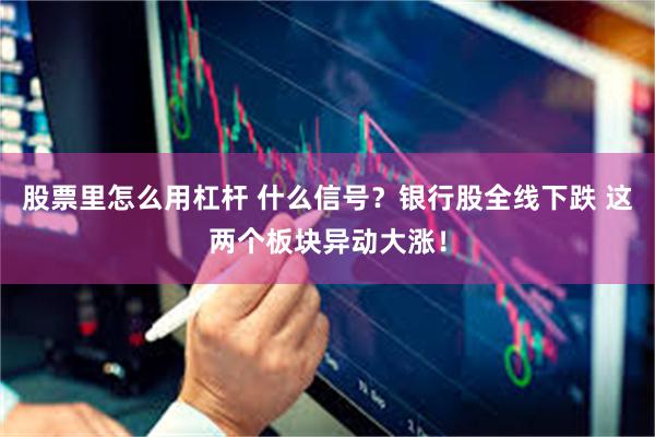 股票里怎么用杠杆 什么信号？银行股全线下跌 这两个板块异动大涨！