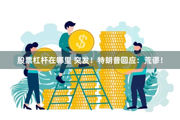 股票杠杆在哪里 突发！特朗普回应：荒谬！