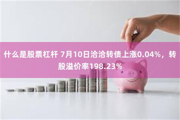 什么是股票杠杆 7月10日洽洽转债上涨0.04%,转股溢价率198.23%