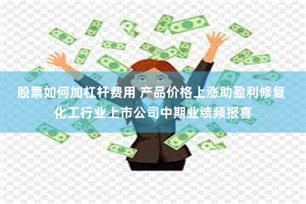 股票如何加杠杆费用 产品价格上涨助盈利修复 化工行业上市公司中期业绩频报喜