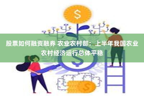 股票如何融资融券 农业农村部：上半年我国农业农村经济运行总体平稳