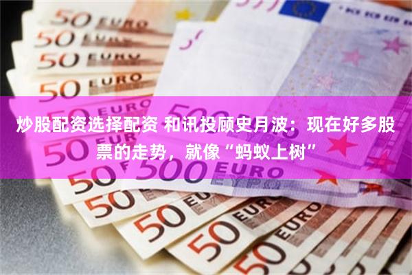 炒股配资选择配资 和讯投顾史月波:现在好多股票的走势,就像“蚂蚁上树”