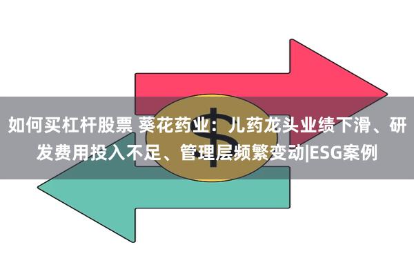 如何买杠杆股票 葵花药业：儿药龙头业绩下滑、研发费用投入不足、管理层频繁变动|ESG案例
