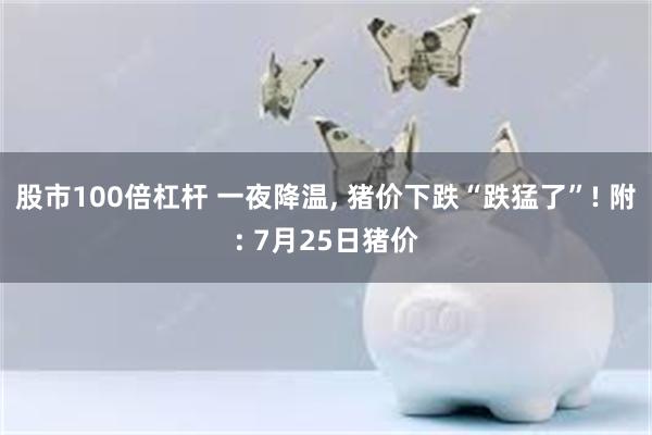 股市100倍杠杆 一夜降温, 猪价下跌“跌猛了”! 附: 7月25日猪价
