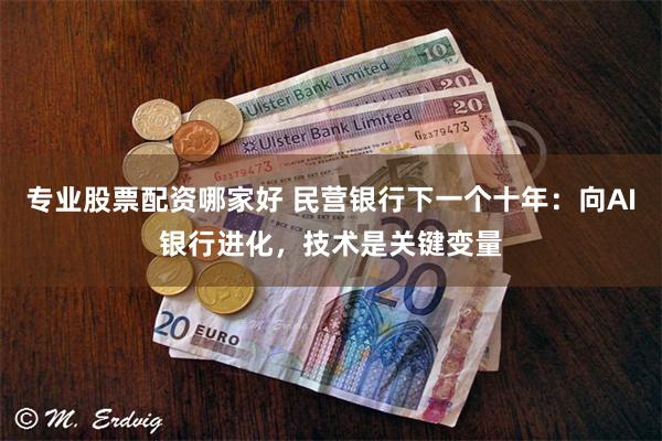 专业股票配资哪家好 民营银行下一个十年:向AI银行进化,技术是关键变量