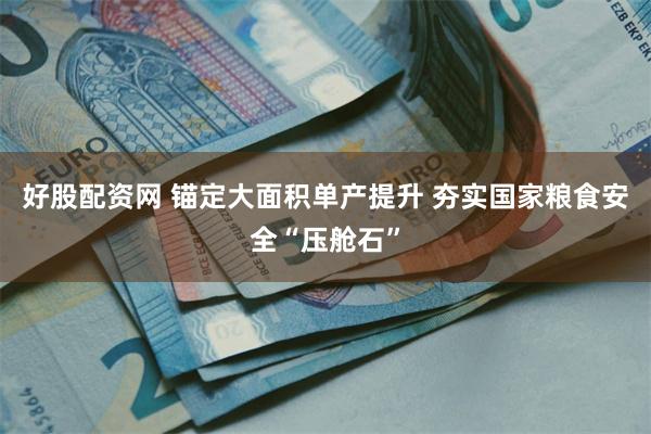 好股配资网 锚定大面积单产提升 夯实国家粮食安全“压舱石”