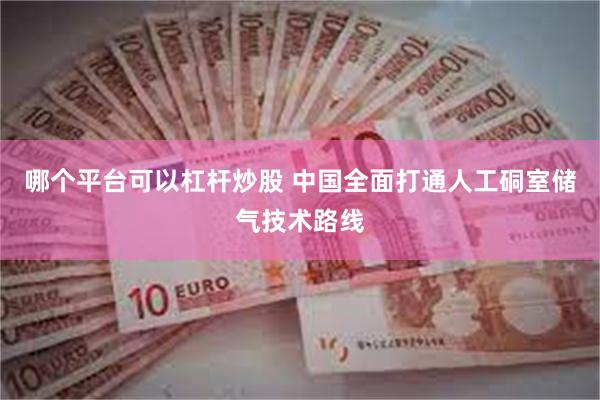 哪个平台可以杠杆炒股 中国全面打通人工硐室储气技术路线