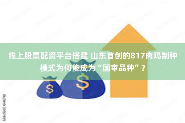 线上股票配资平台搭建 山东首创的817肉鸡制种模式为何能成为“国审品种”?